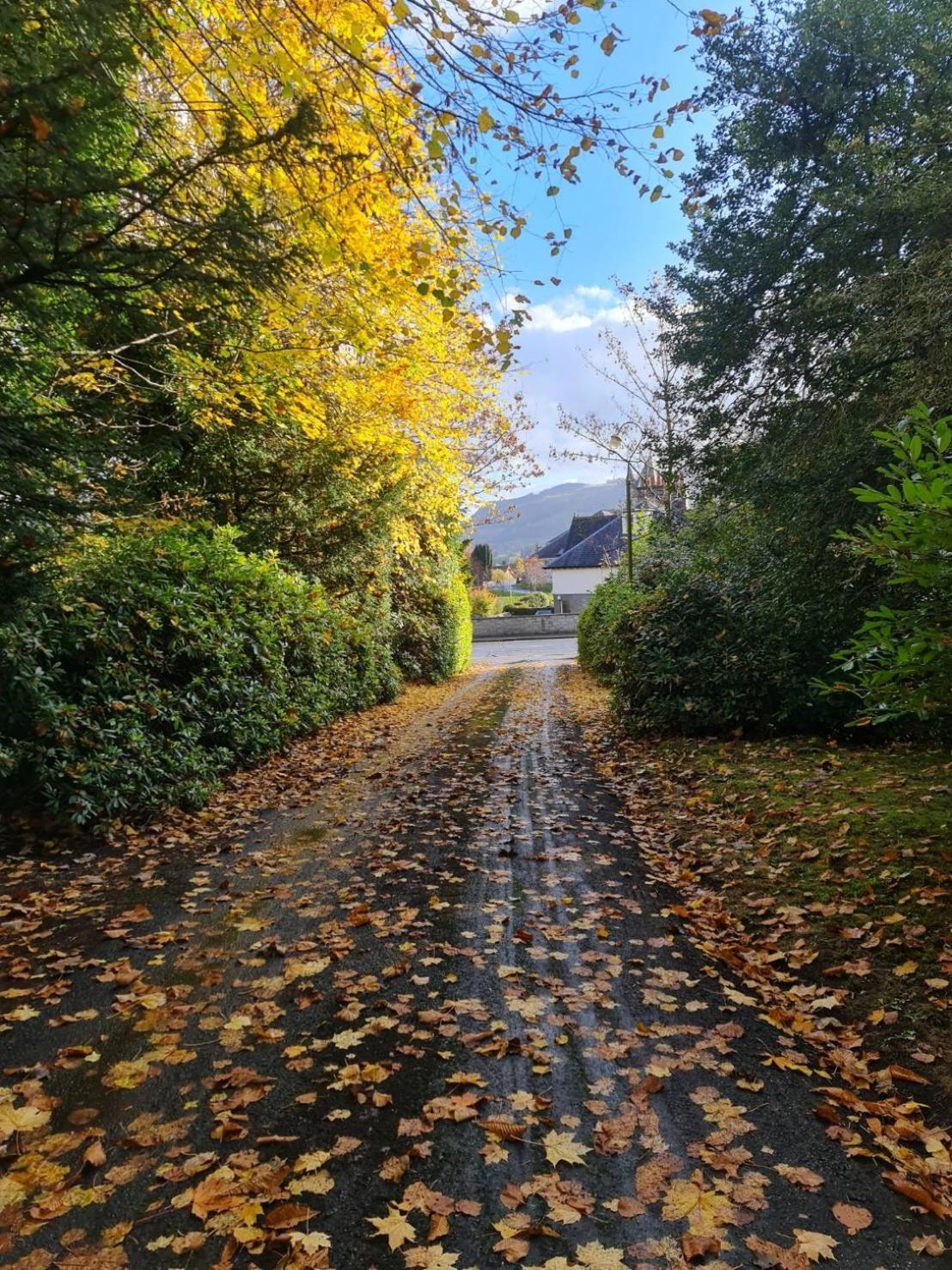 Wellwood Manor Otel Pitlochry Dış mekan fotoğraf